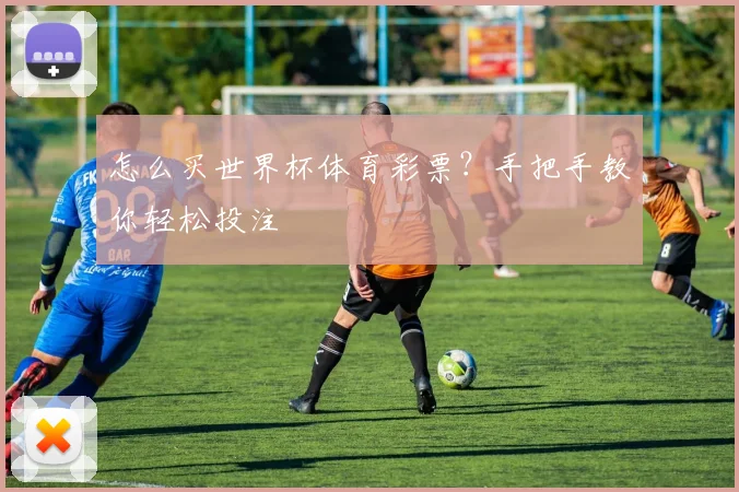 怎么买世界杯体育彩票？手把手教你轻松投注
