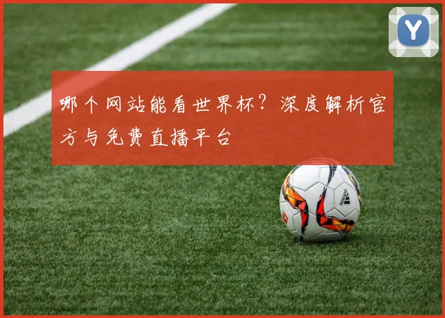 哪个网站能看世界杯？深度解析官方与免费直播平台