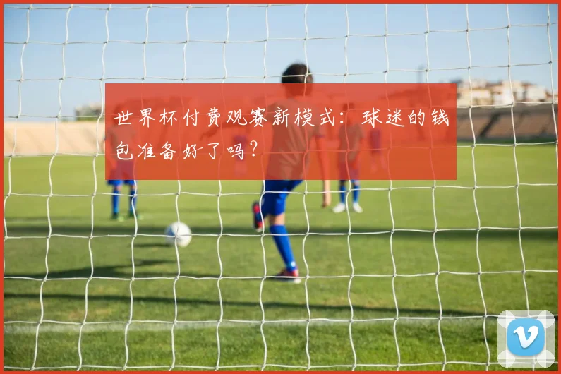 世界杯付费观赛新模式:球迷的钱包准备好了吗?