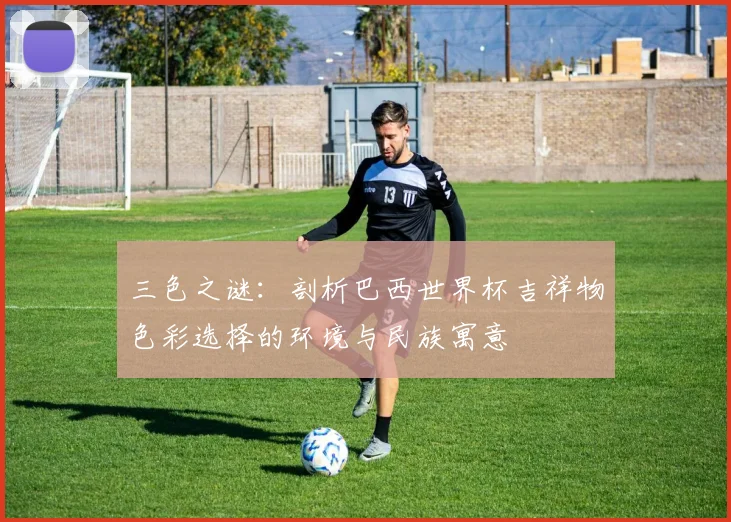三色之谜:剖析巴西世界杯吉祥物色彩选择的环境与民族寓意