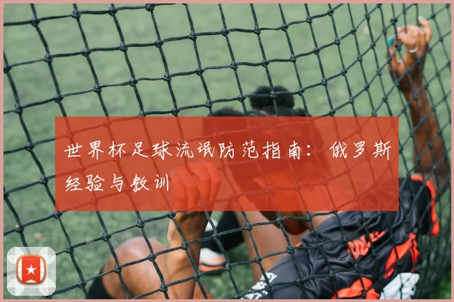 世界杯足球流氓防范指南:俄罗斯经验与教训